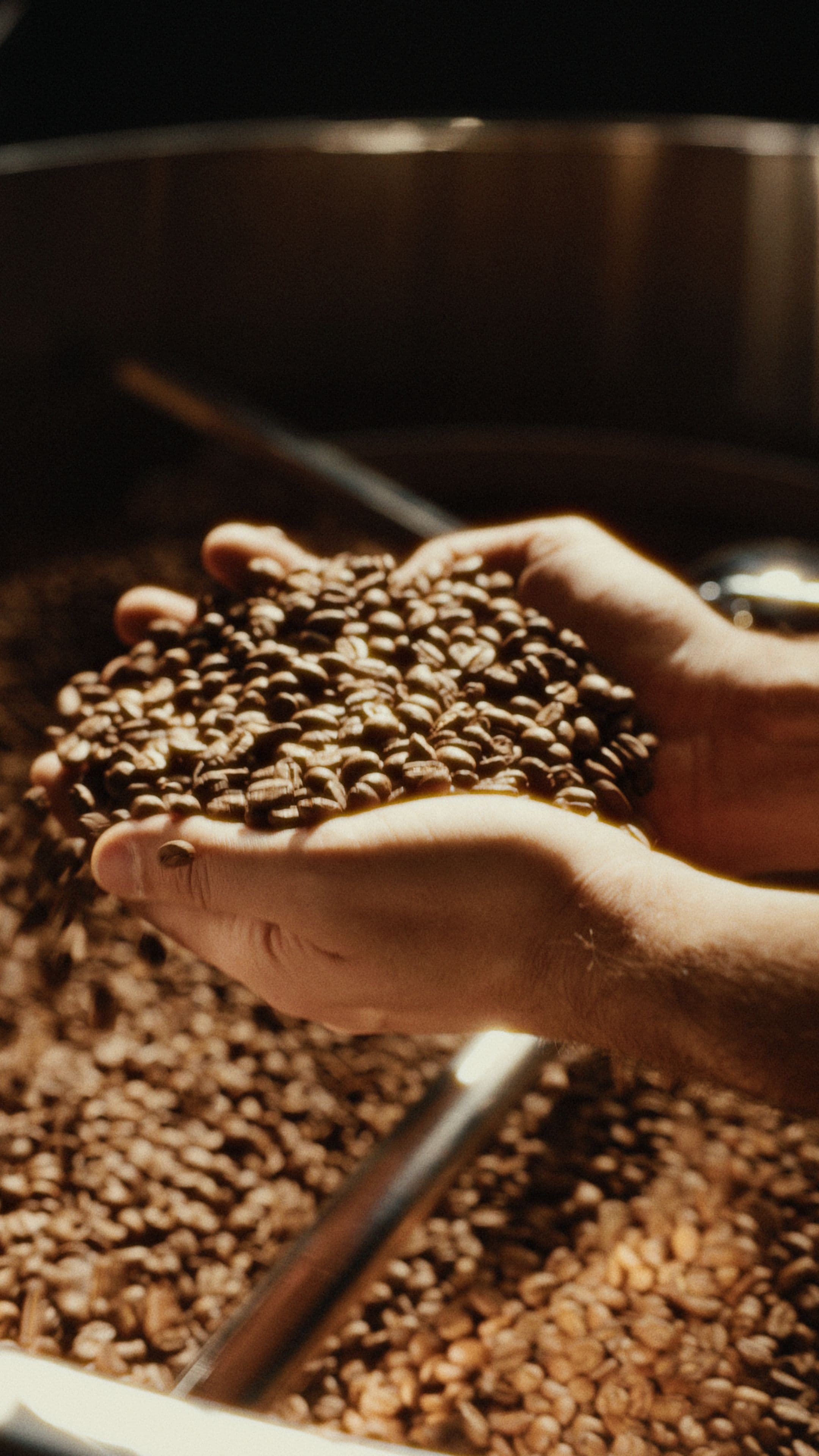 The story of one roast